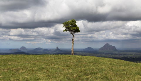 Bower 63 - Darwin Tourism 28