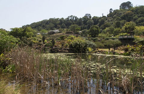 Bower 63 - Darwin Tourism 32