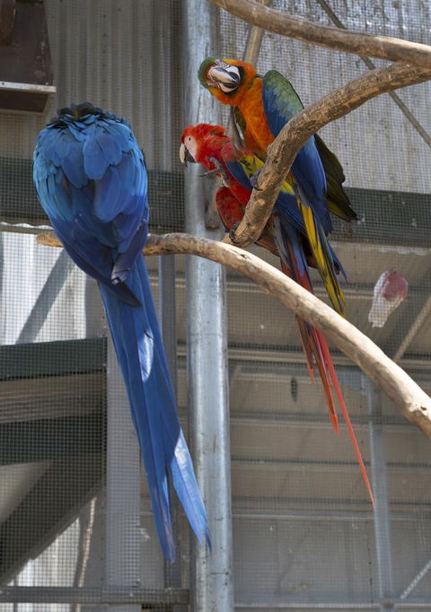 Bower 63 - Darwin Tourism 35