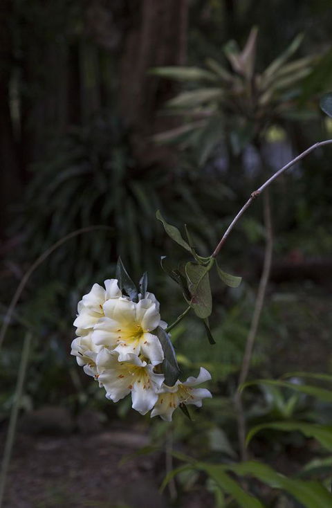 Bower 63 - Darwin Tourism 18