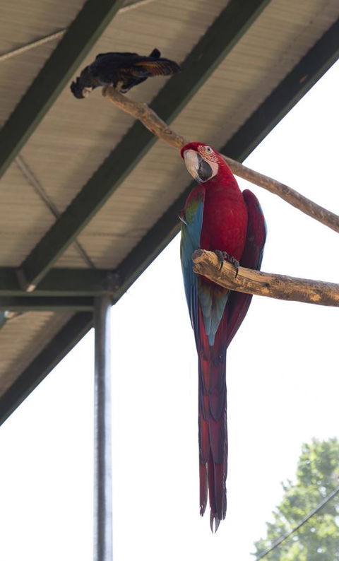 Bower 63 - Darwin Tourism 36