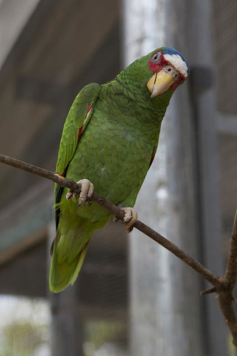 Bower 63 - Darwin Tourism 34