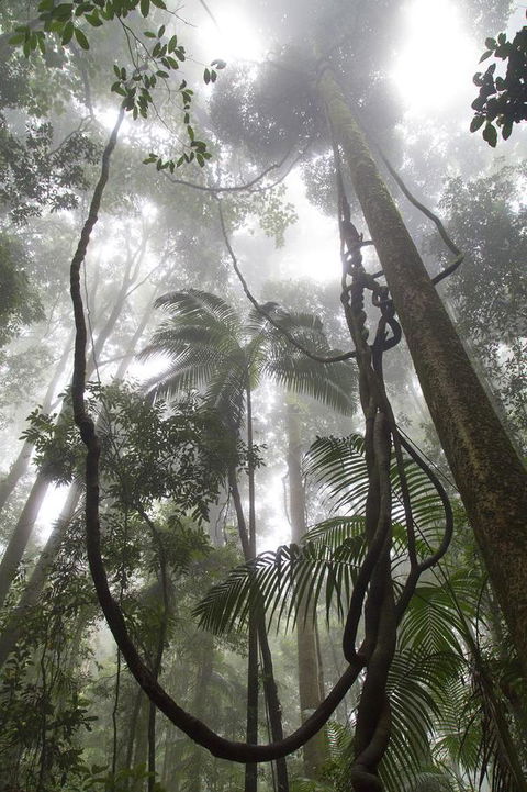 Bower 63 - Darwin Tourism 39