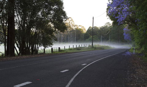 Bower 63 - Darwin Tourism 19