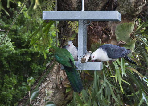 Bower 63 - Darwin Tourism 22