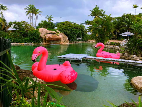 Cairns Colonial Club Resort - Darwin Tourism 6