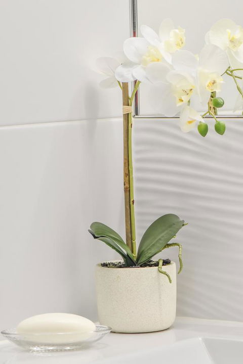 The Guesthouse Maleny - Darwin Tourism 32