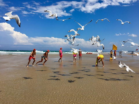 Hi Ho Beach Apartments On Broadbeach - Darwin Tourism 31