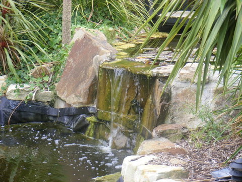 Weeroona Bed And Breakfast - Darwin Tourism 2
