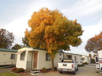 Wodonga Caravan  Cabin Park