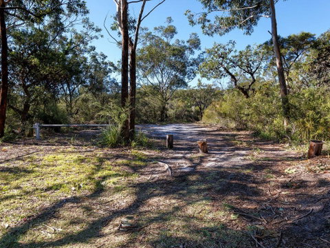 Wongaburra - Darwin Tourism 2