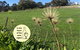 Adelaide Hills Escape - thumb 0