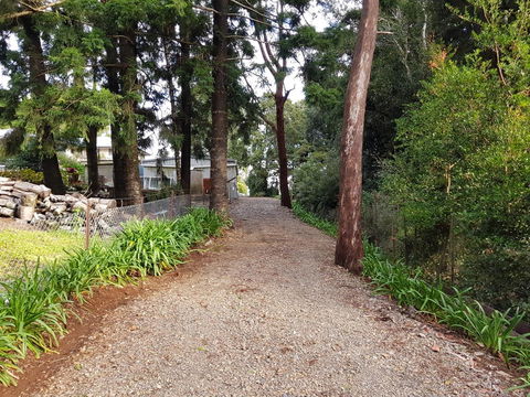 Bee-Haven Cottage - Darwin Tourism 4