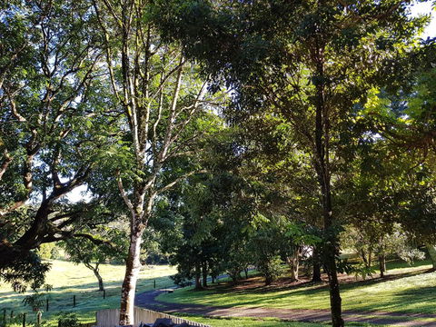 Bee-Haven Cottage - Darwin Tourism 7