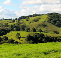 Maleny Springs Farm - Darwin Tourism