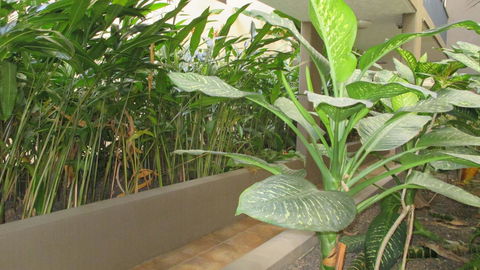 Edge Apartments Cairns - Darwin Tourism 39