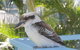 Moreton Island Villas And Apartments - thumb 16