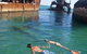 Tangalooma Island Resort - thumb 5