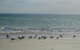 Beachfront Holiday Apartment To Rent For Short And Long Stays - thumb 30
