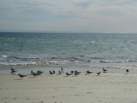 Beachfront Holiday Apartment To Rent For Short And Long Stays - Darwin Tourism 30