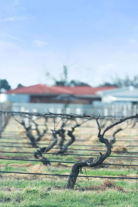 Crimson Ridge - Wines, Vines And Dine - Darwin Tourism 1