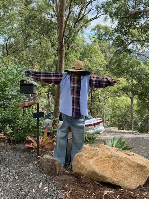 424 Trees - Darwin Tourism 3