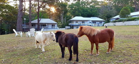Aaronlee Retreat - Darwin Tourism 2