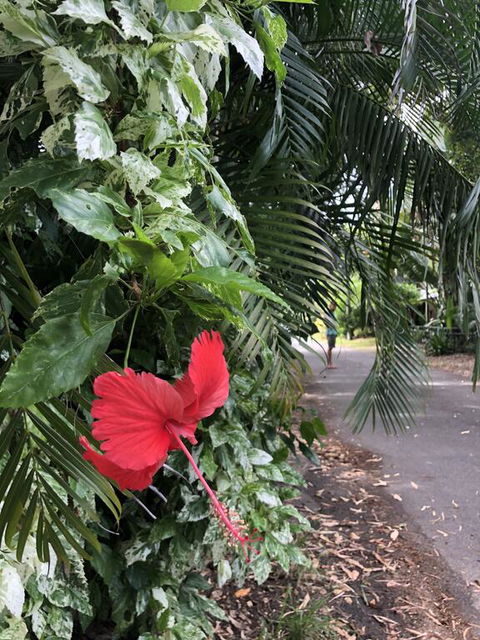 Absolute Beach Frontage, Family Friendly, Home Away From Home - Darwin Tourism 1
