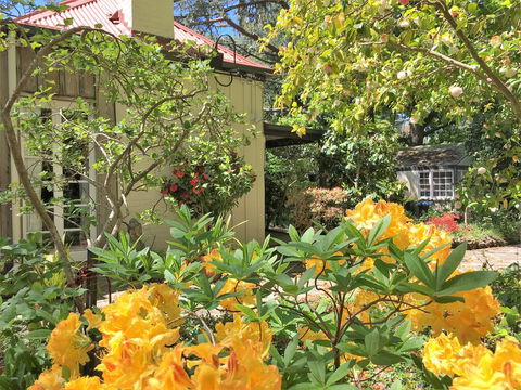 Adelaide Hills 'Camellia Cottage' - WiFi - Darwin Tourism 1