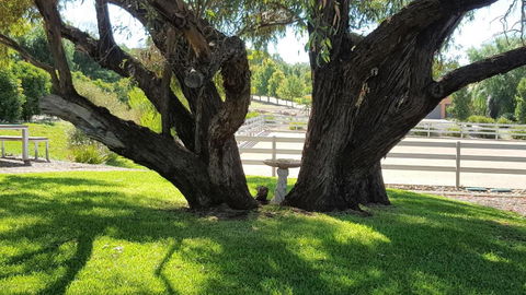 Equestrian Farm Stay - Darwin Tourism 0