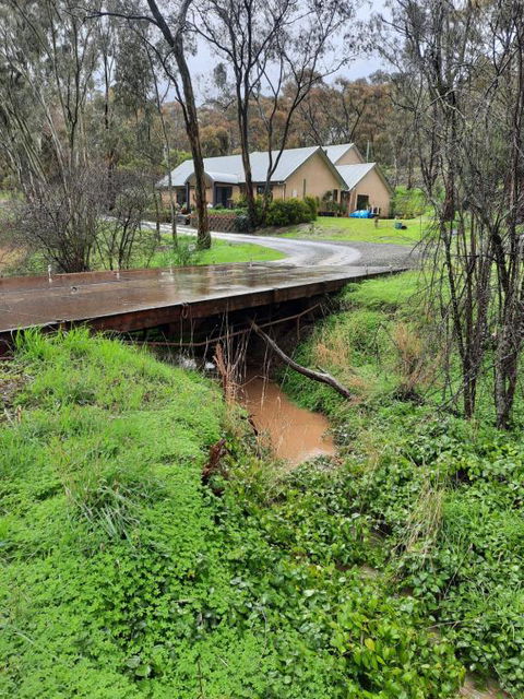Frogmouth Hollow - Darwin Tourism 4