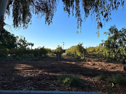 House By The Vines - Darwin Tourism 0