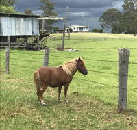 AMs Farm Stay - Darwin Tourism