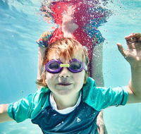 Anglesea Family Caravan Park - Darwin Tourism