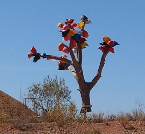 ANTE STREET DUGOUT - Darwin Tourism 1