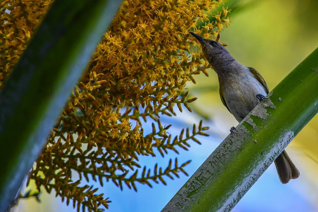 Normanton QLD Darwin Tourism