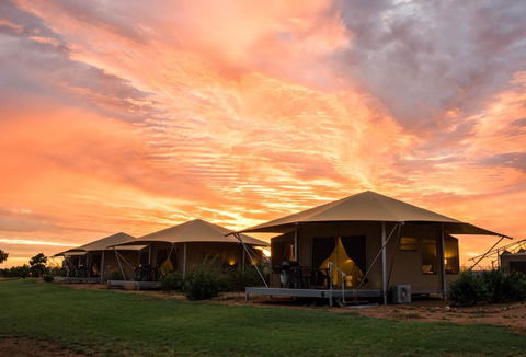 Mitchell Grass Retreat - Darwin Tourism 1