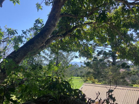 Potters Cottage - Darwin Tourism 3