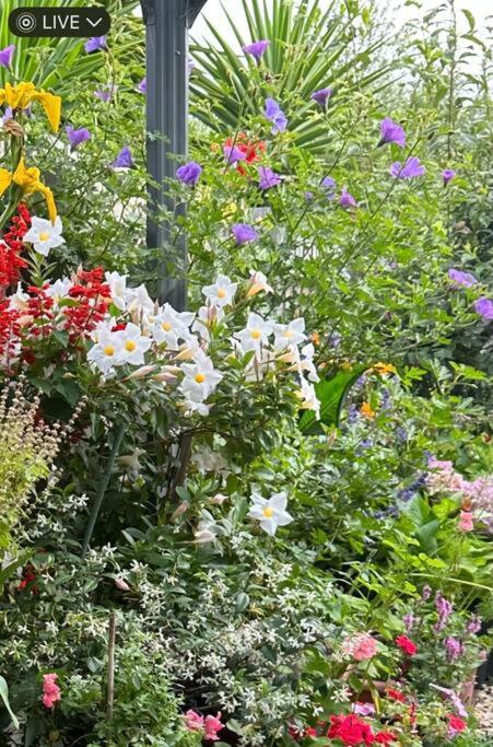 Quiet Comfort For Relaxing Stays - Darwin Tourism 0