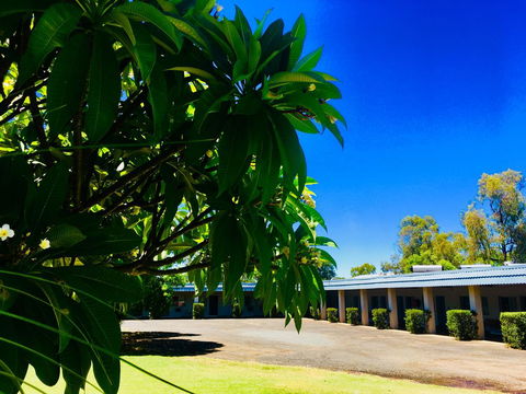Balonne River Motor Inn - Darwin Tourism 0