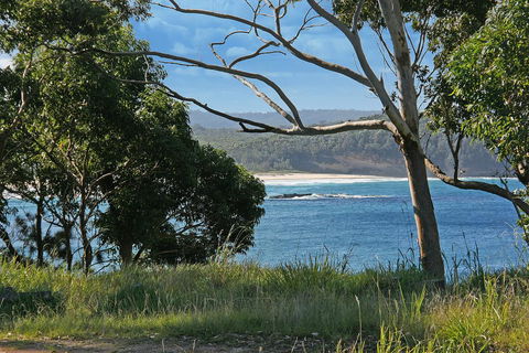 Bannister 49 - Neptune's Way - Darwin Tourism 1