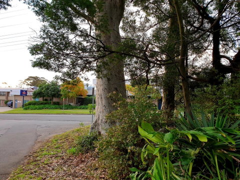 Bay & Basin - Darwin Tourism 2