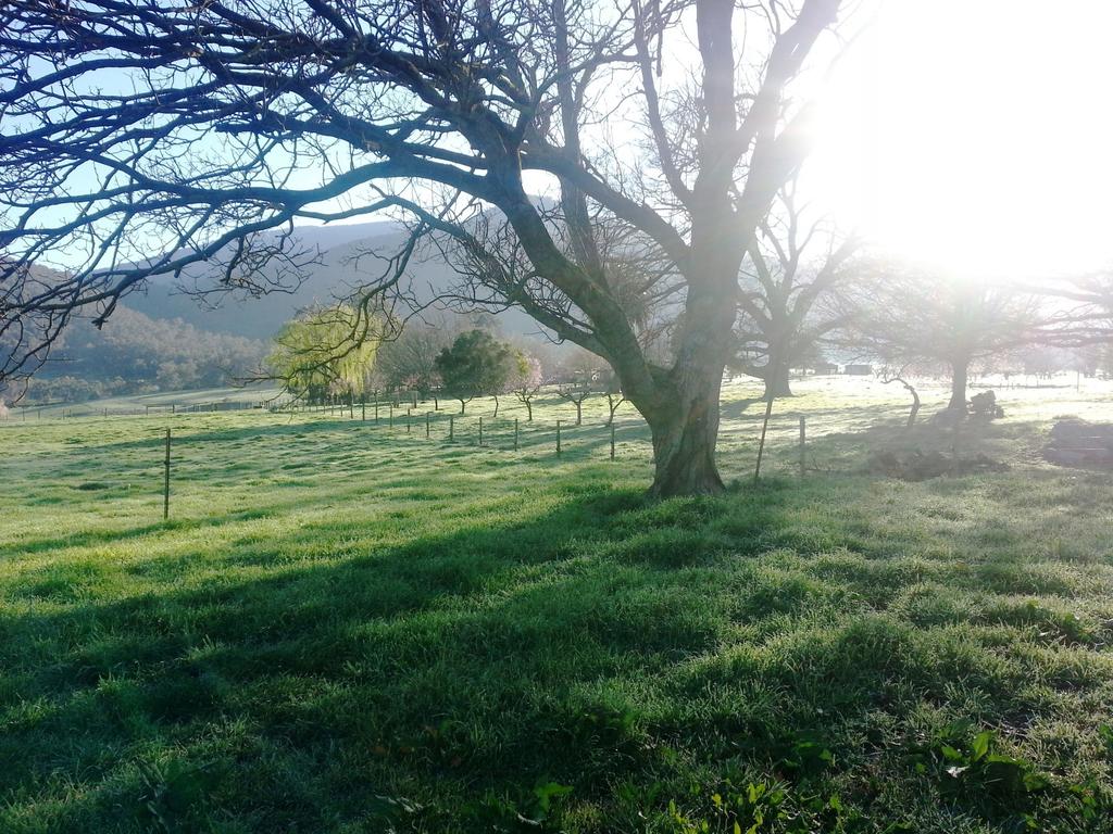 Leneva VIC Darwin Tourism