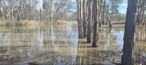 Riversands Rest Accommodation Paringa - River Box Cottage - Darwin Tourism 3