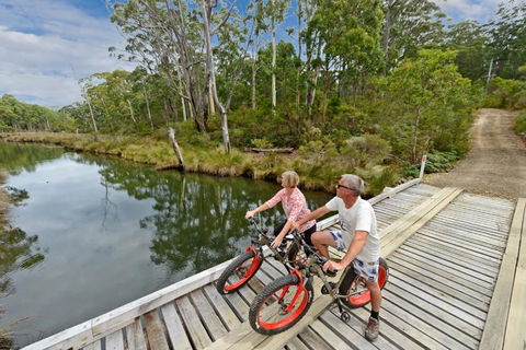 Saintys Creek Cottage - Darwin Tourism 2