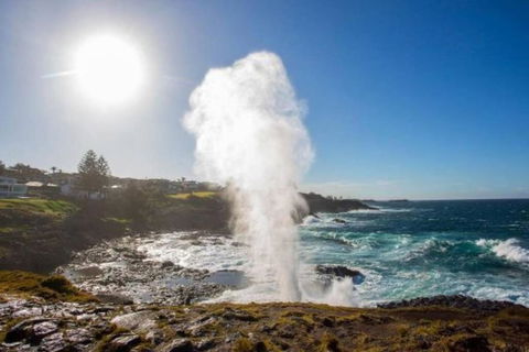 SALTY SOUL KIAMA - Tiny House By The Ocean - Darwin Tourism 3