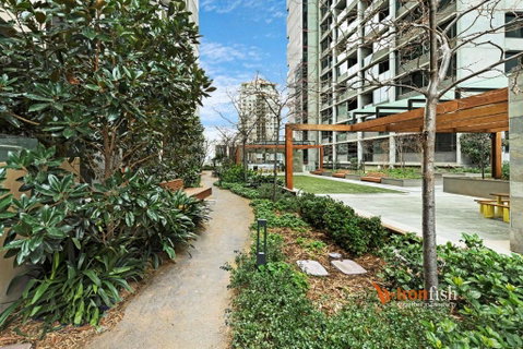 Sakura Apartment - Darwin Tourism 3