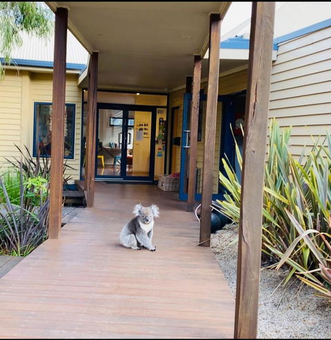 Sandpiper Motel Apollo Bay - Darwin Tourism 3