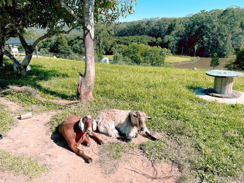Seven Peaks Farm Stay - Darwin Tourism 2