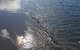 Beachside Husky - Waterfront - thumb 3